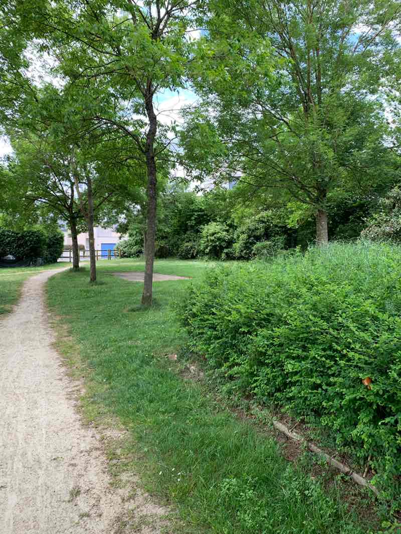 walking near me in Square Salvador Allende in spring
