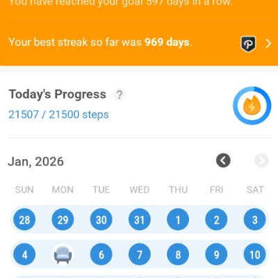 January Steps Challenge 🦘feeks🇦🇺 post image