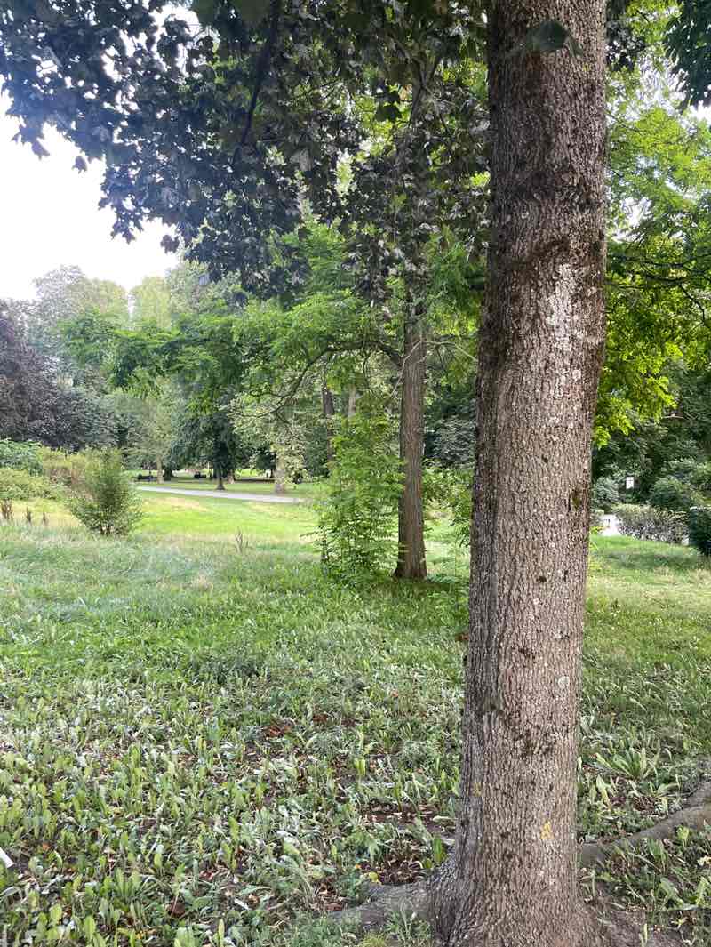walking near me in Humlegården in autumn