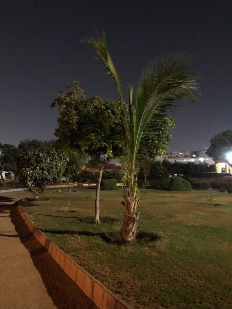 walking near me in Zamzama Park in spring