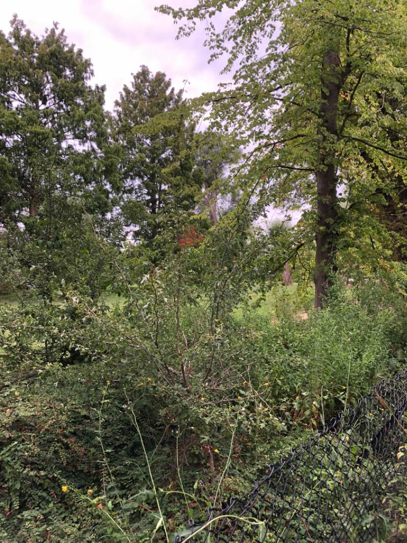 walking near me in New Marston Meadows in autumn