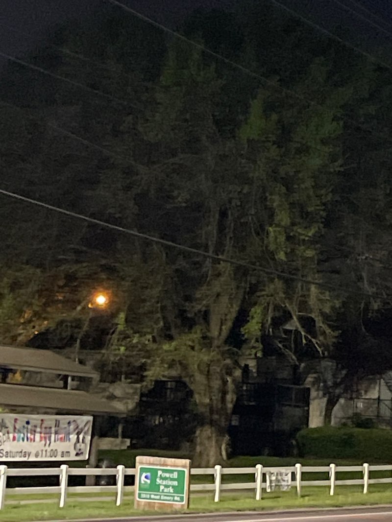 walking near me in Powell Station Park in spring