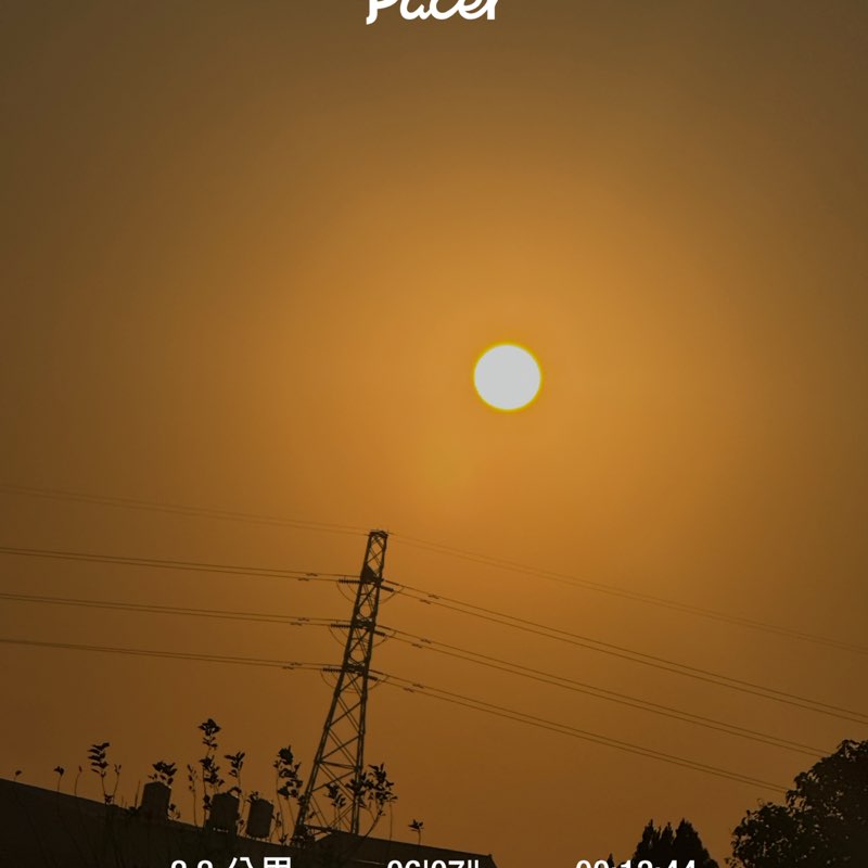 汪汪🙈🐶 post 1