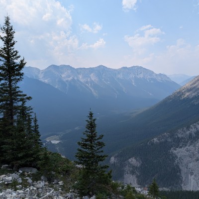 Peter post 3