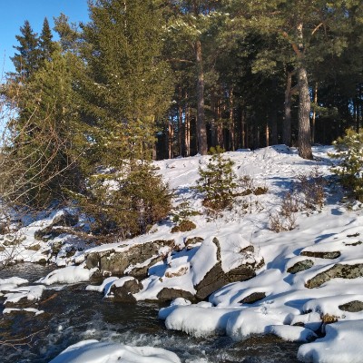 Банзуля tagrab post image