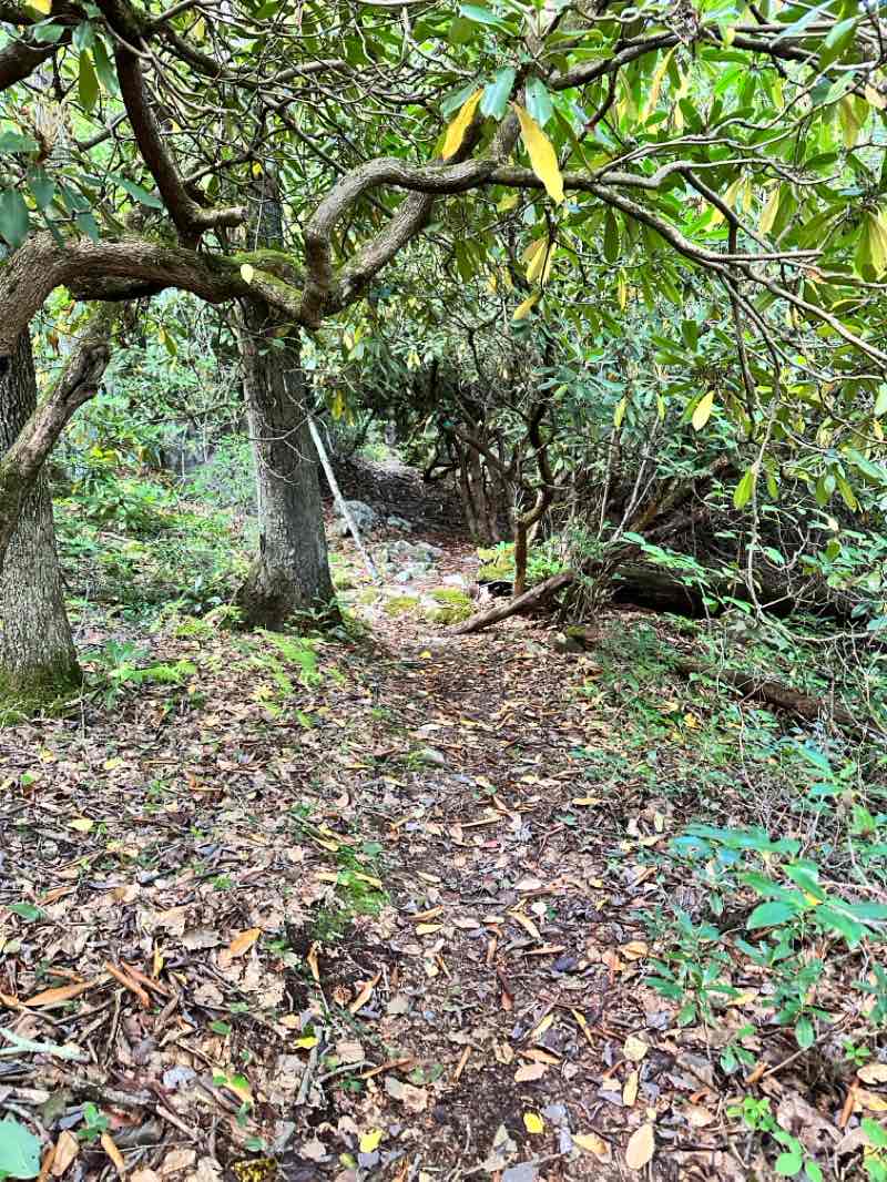 walking near me in Natural Lands Trust Bear Creek Preserve - Shades Creek Parcel in winter