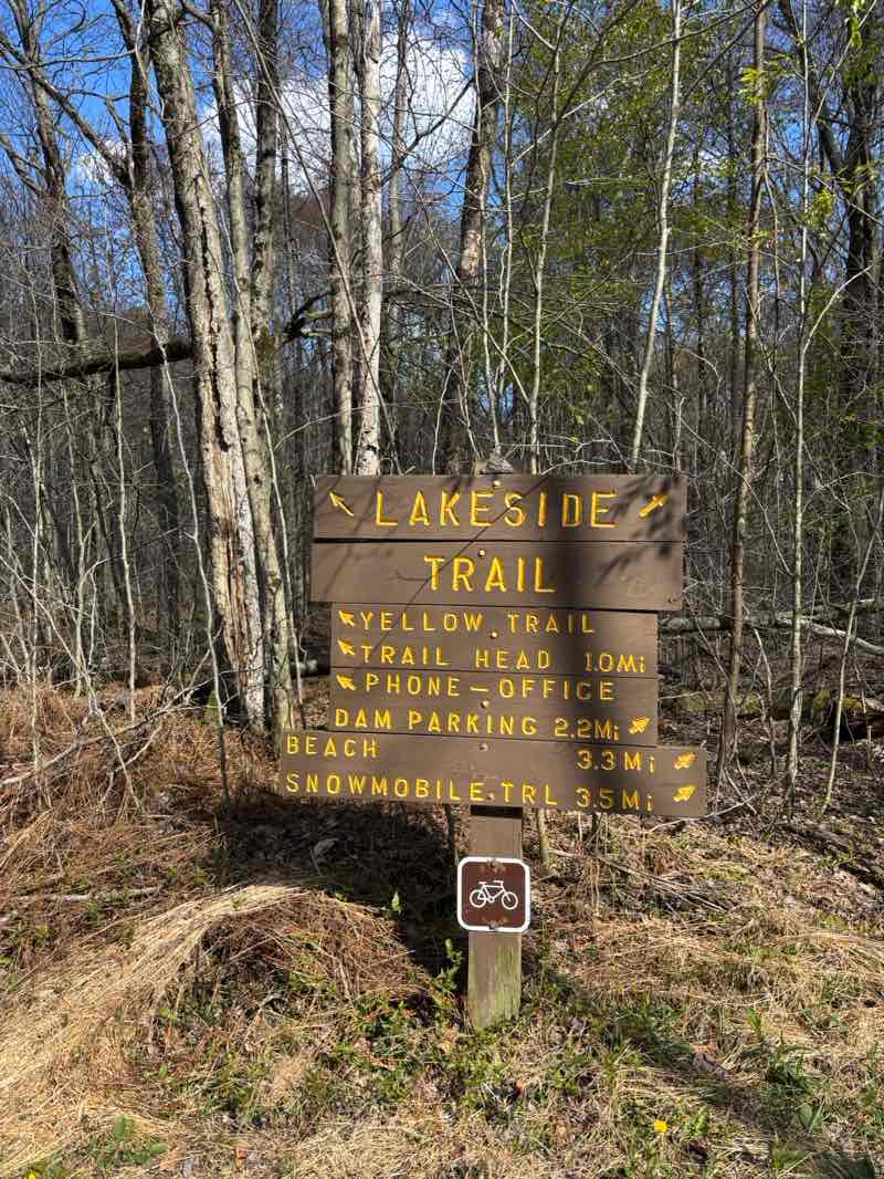 walking near me in Tobyhanna State Park in spring