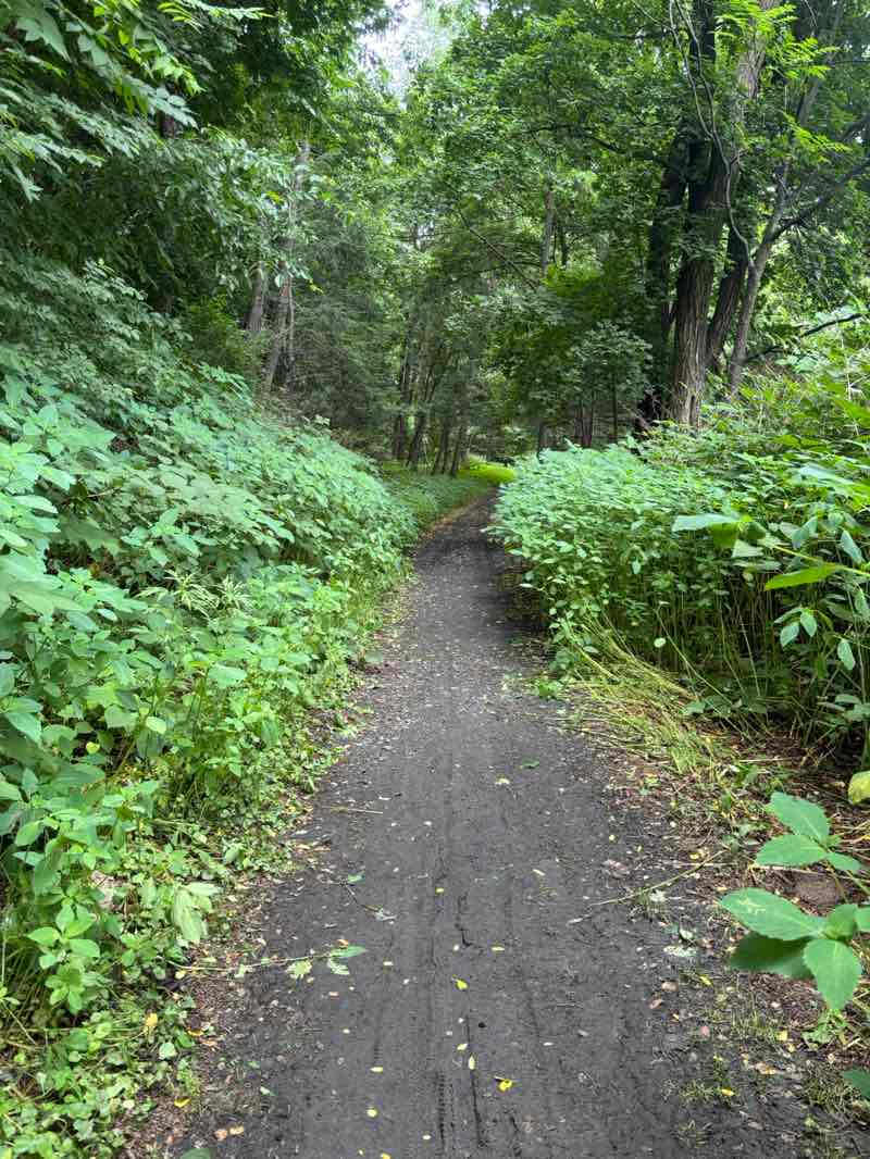 walking near me in Nay Aug Avenue Natural Play Area in summer
