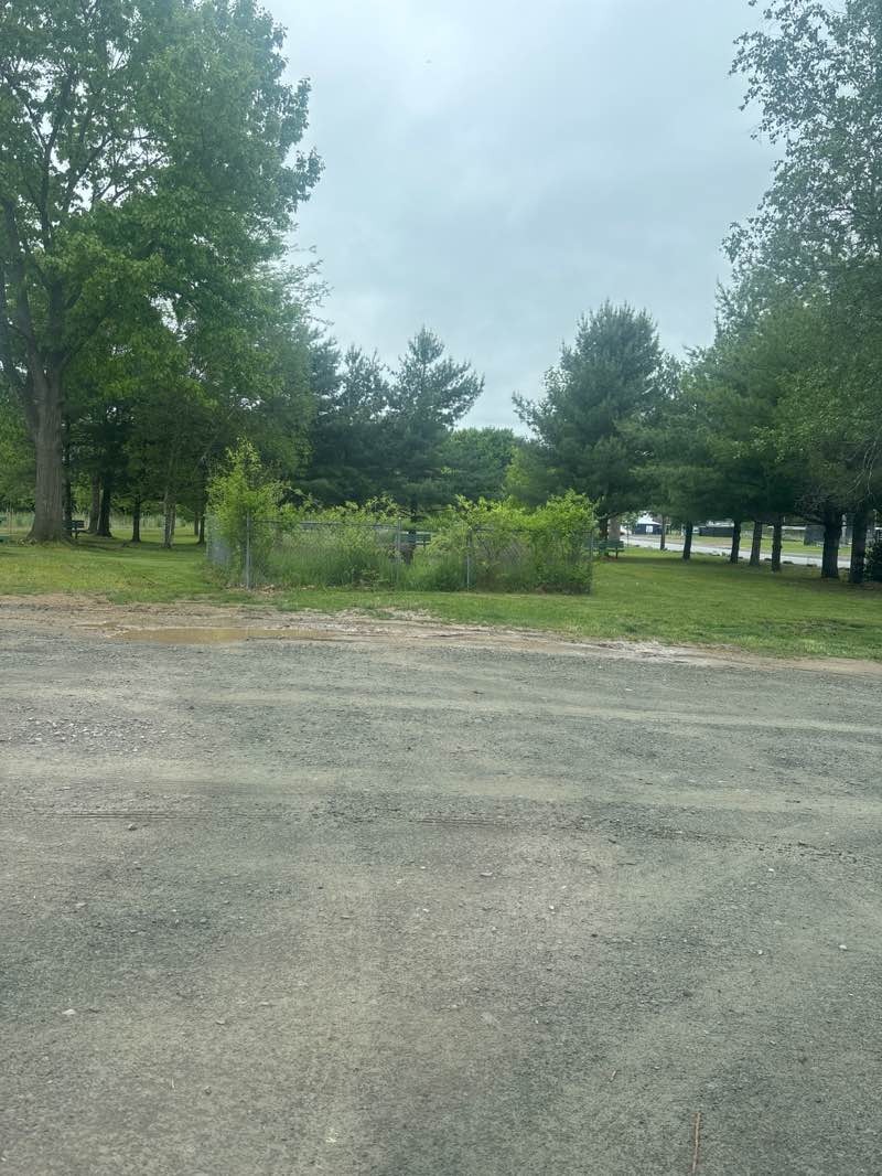 walking near me in Richter Avenue Park in summer