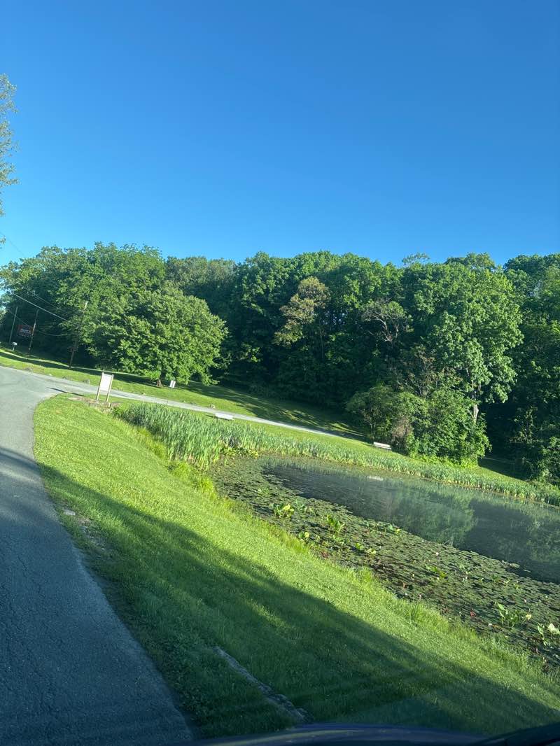 walking near me in Zacharias Pond Park in summer