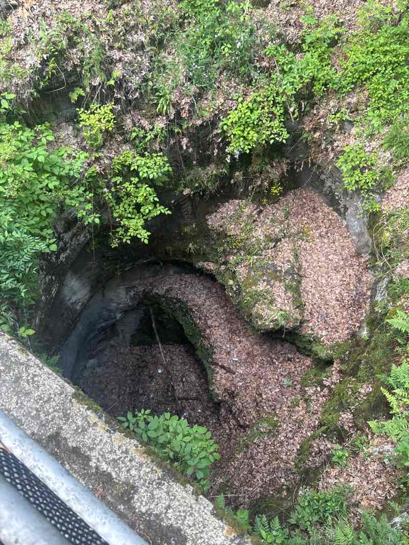 walking near me in Archbald Pothole State Park in summer