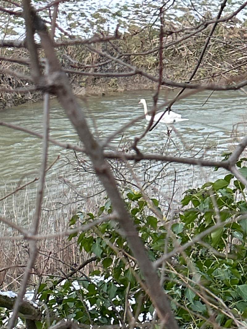 walking near me in Les Terrasses du Musée in winter