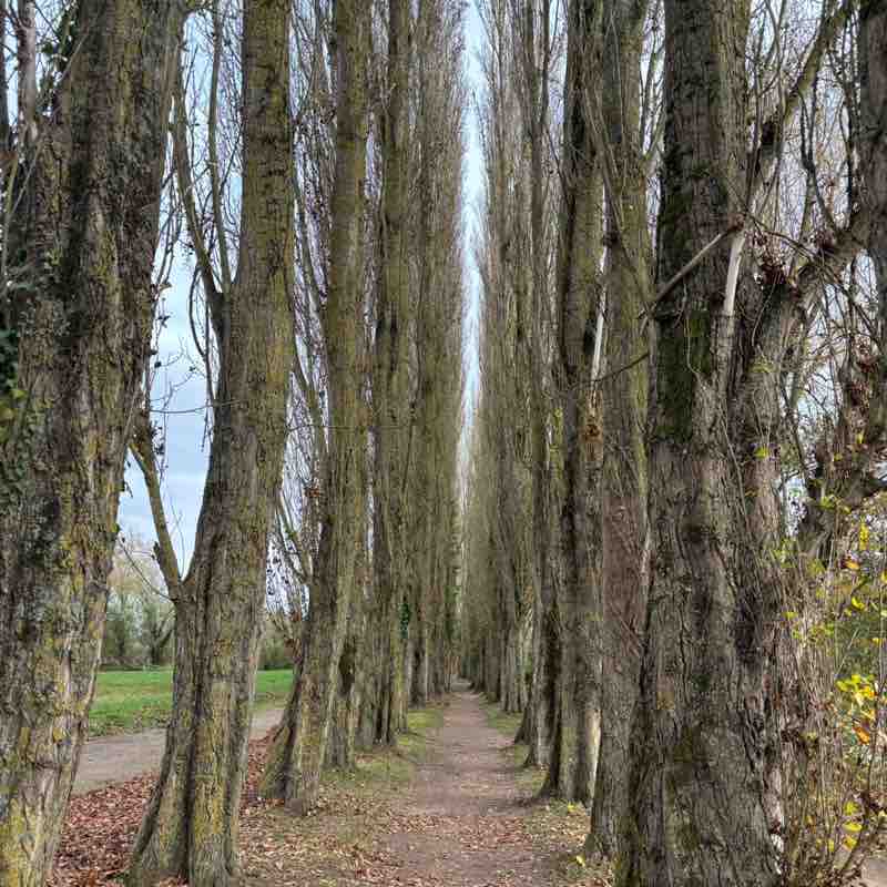 magali.laurent.83 post 3