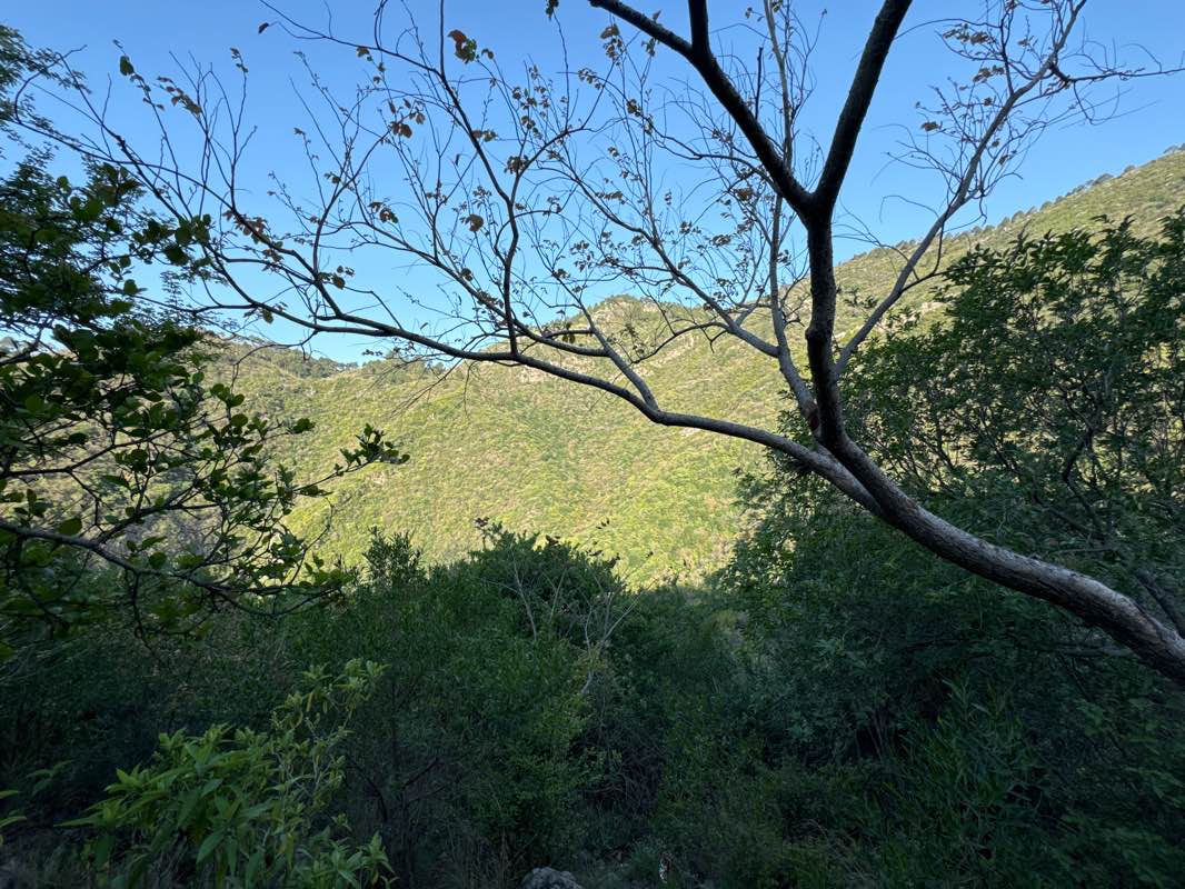 walking near me in Punjab House Park in winter