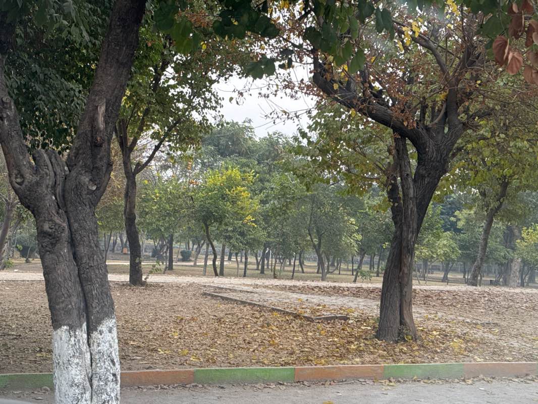 walking near me in Kachnar Park in winter