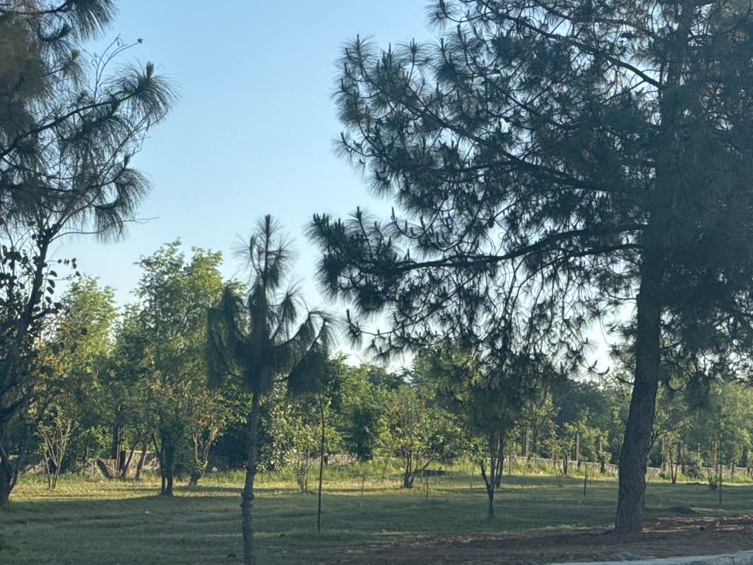 walking near me in McDonald's Park in spring