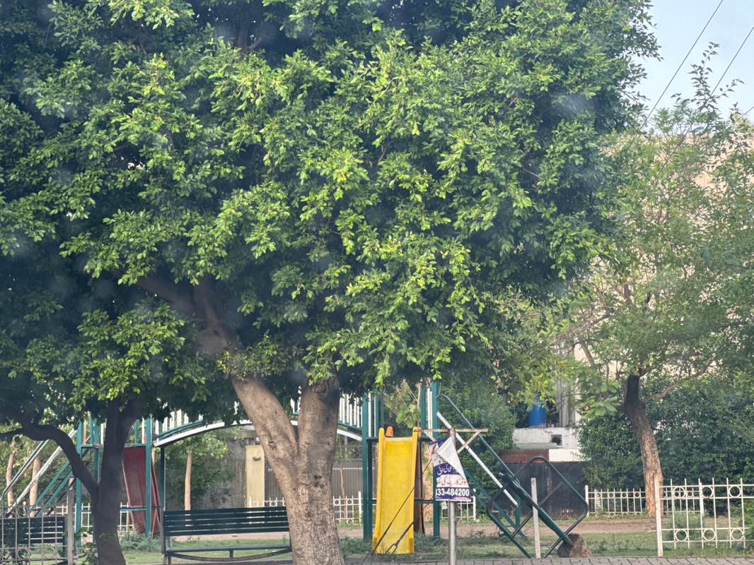 walking near me in Chota Park in spring