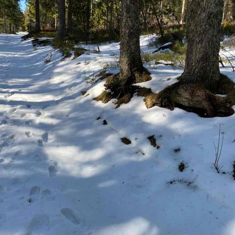 CARPE DIEM Régina post image