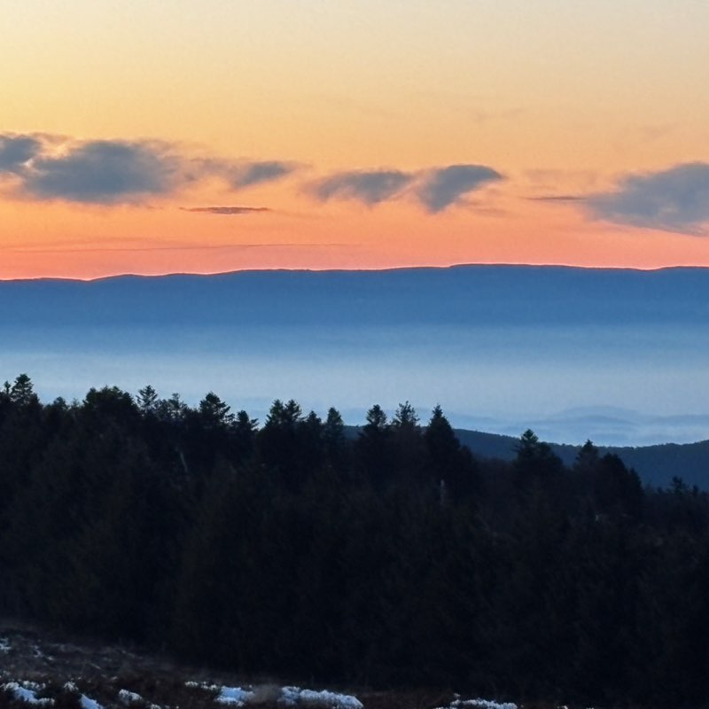 CARPE DIEM Régina post image