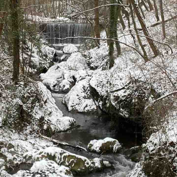 CARPE DIEM Régina post image