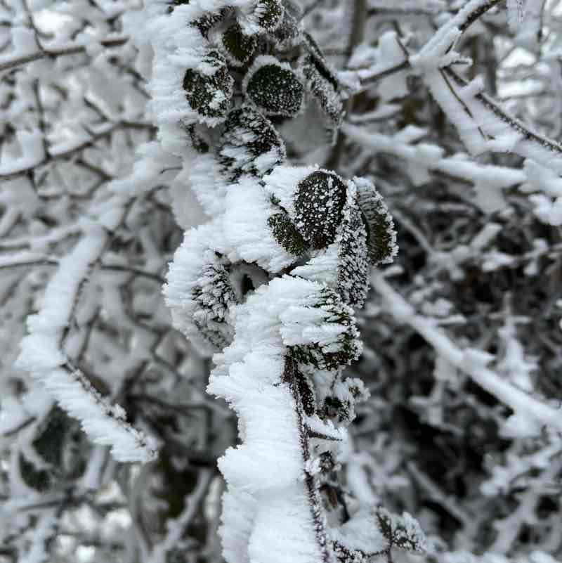 CARPE DIEM Régina post image
