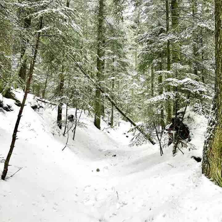 CARPE DIEM Régina post image