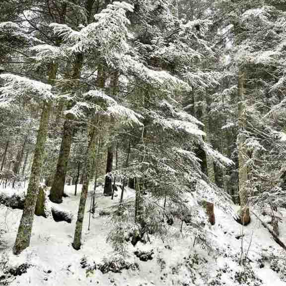 CARPE DIEM Régina post image