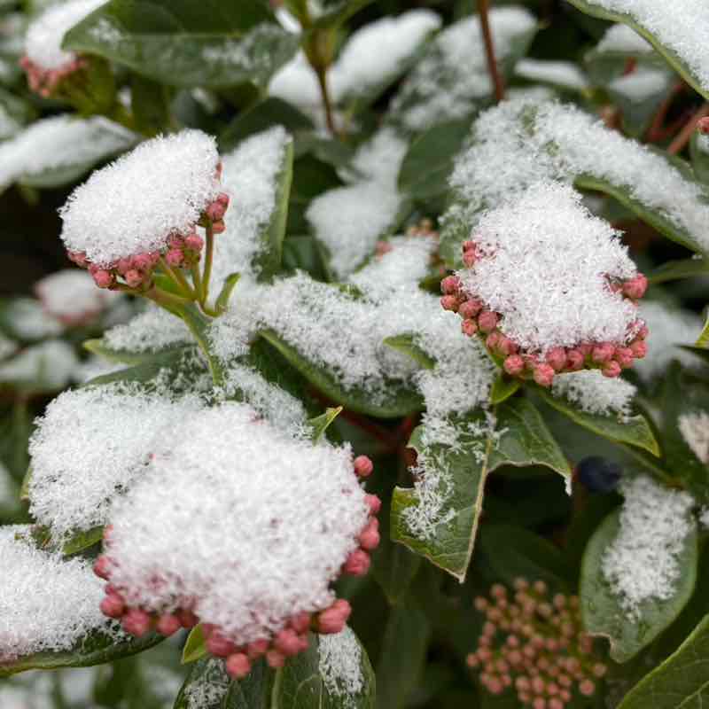 CARPE DIEM Régina post image