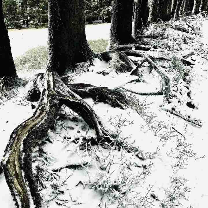 CARPE DIEM Régina post image