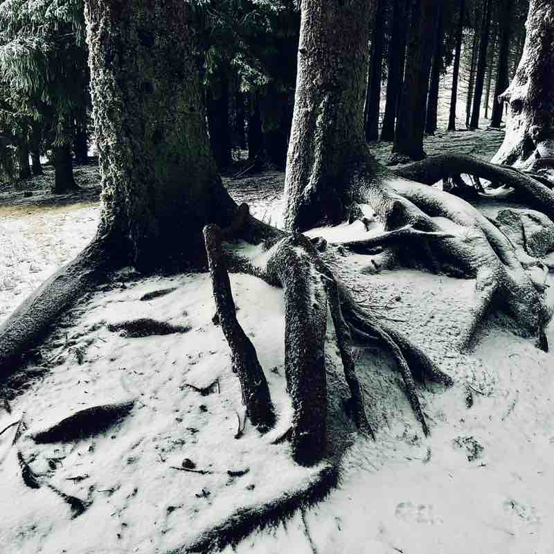 CARPE DIEM Régina post image