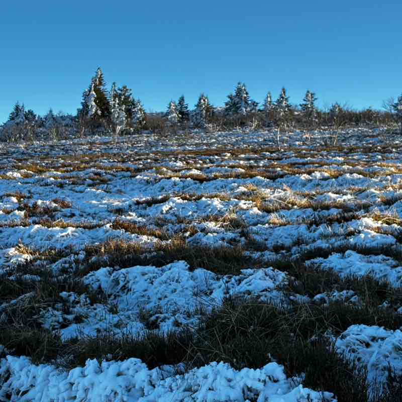 CARPE DIEM Régina post image