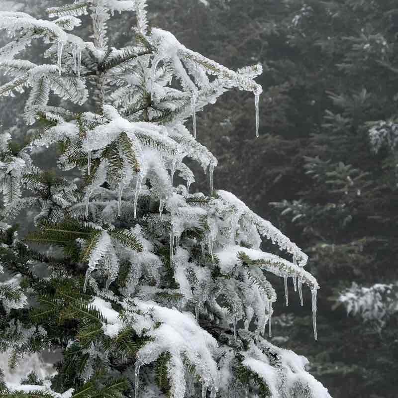 CARPE DIEM Régina post image