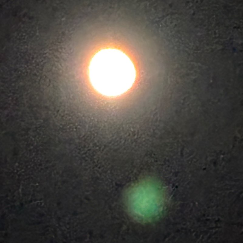 CARPE DIEM Régina post image