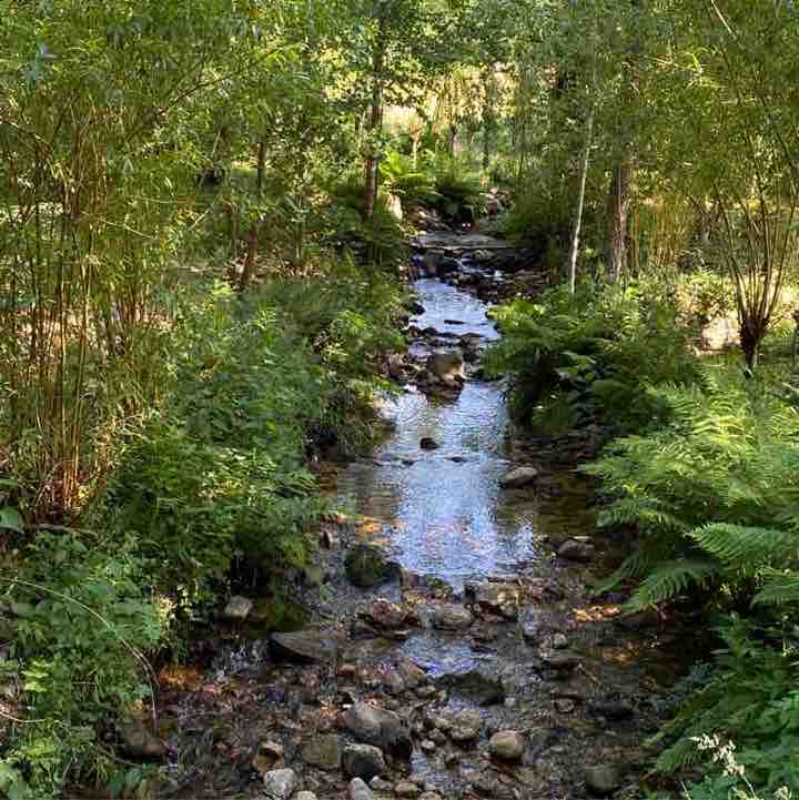 CARPE DIEM Régina post image