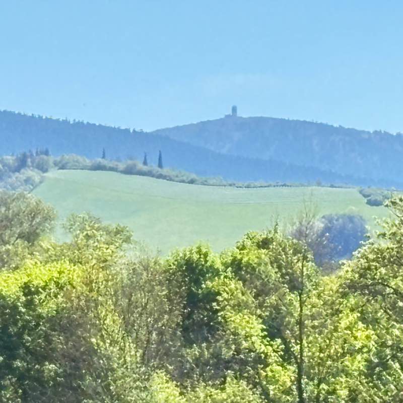 CARPE DIEM Régina post image