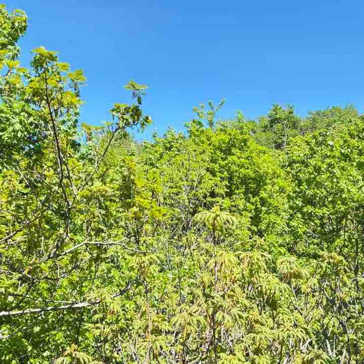 CARPE DIEM Régina post image