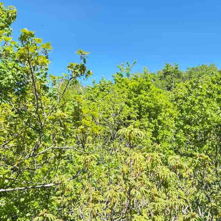 CARPE DIEM Régina post image