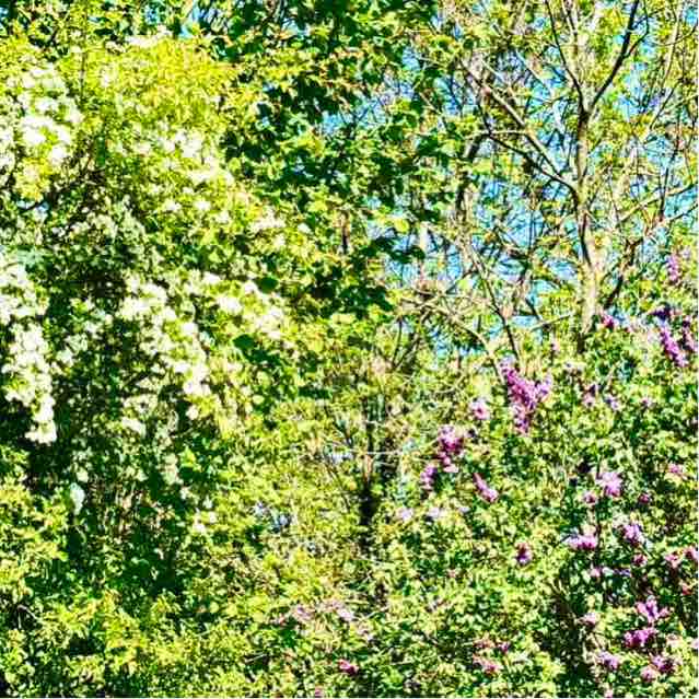 CARPE DIEM Régina post image