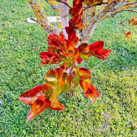 CARPE DIEM Régina post image