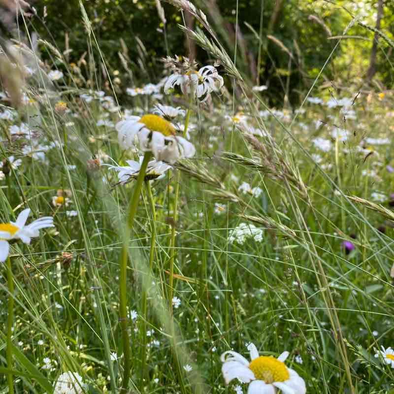 CARPE DIEM Régina post image