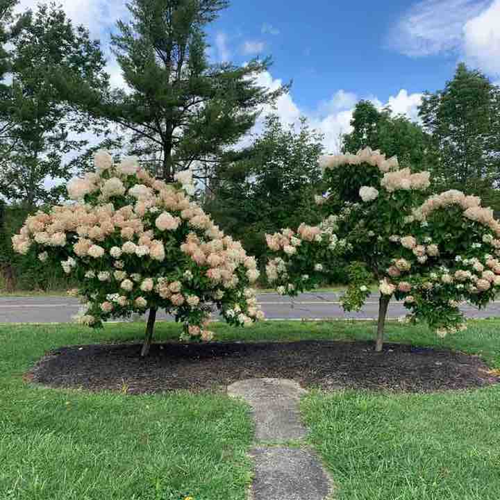 Martin Chattman post 3