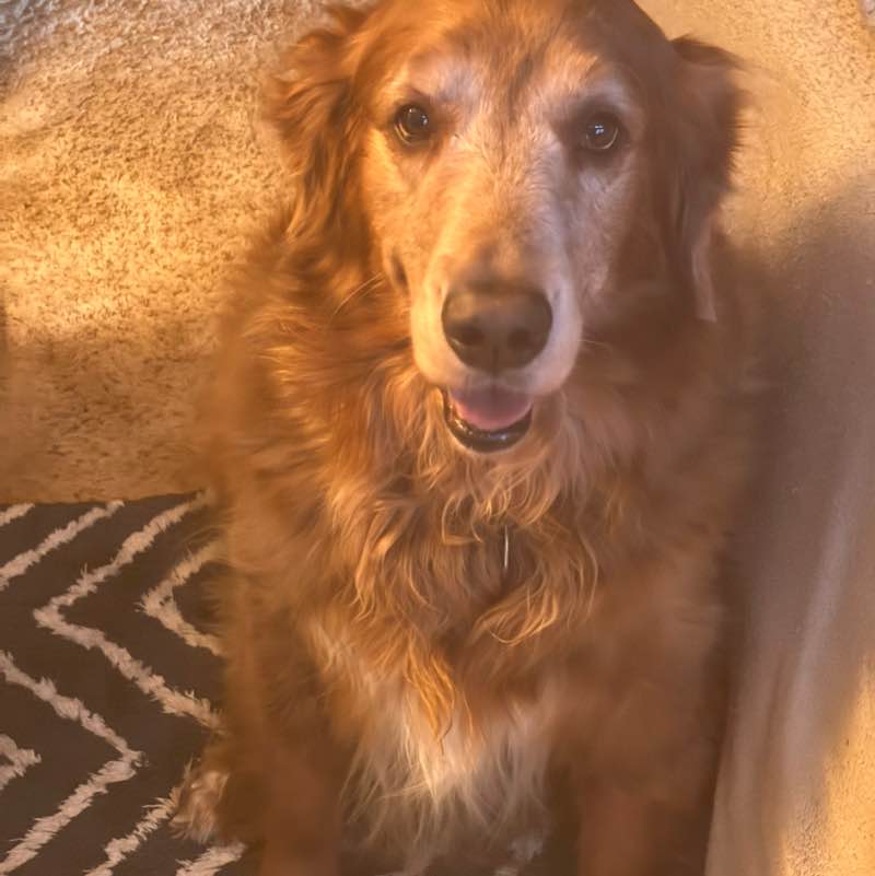 Martin Chattman post 2