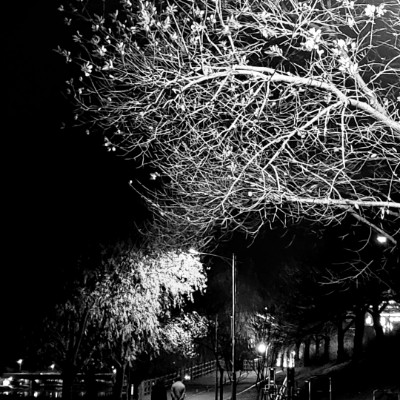 💓HEALTHY WALKS 💓 nhylee post image