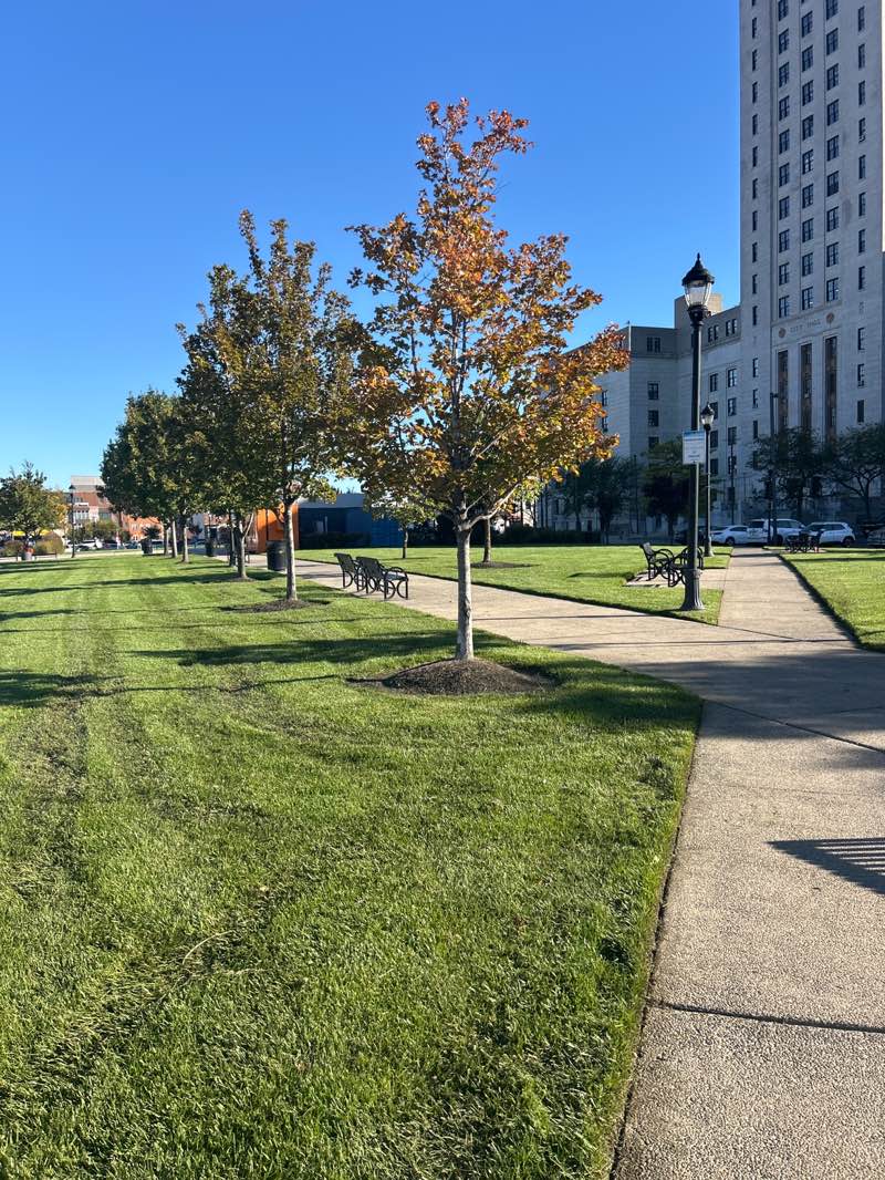 walking near me in Roosevelt Plaza Park in autumn