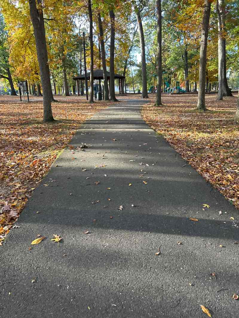 walking near me in Buttonwood Park in autumn