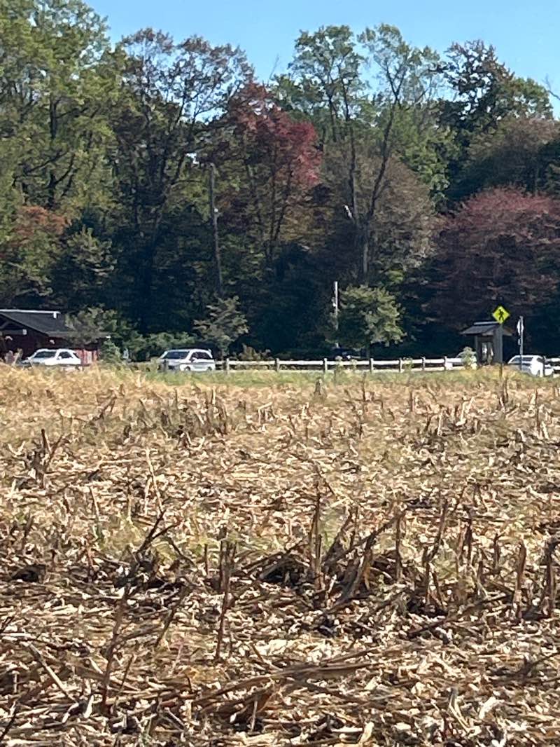 walking near me in Crystal Lake Park in autumn