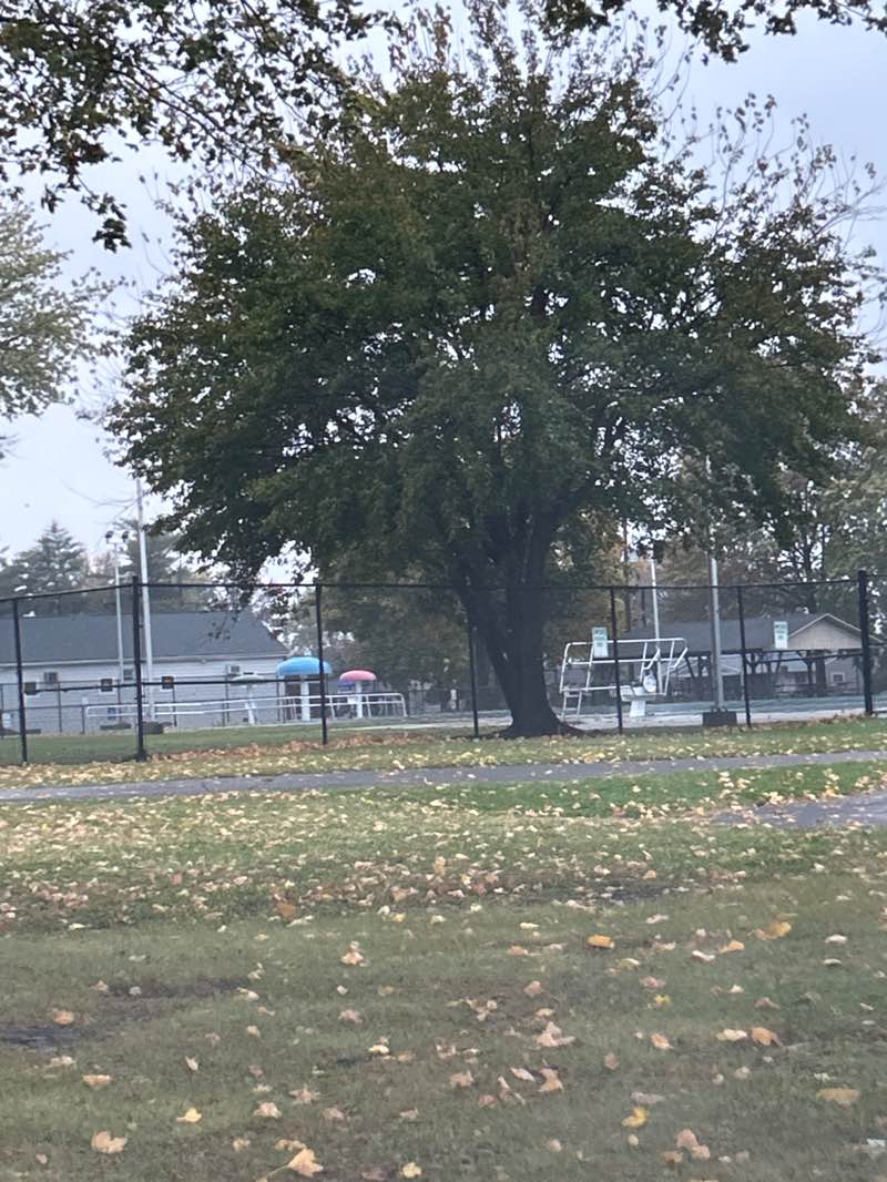 walking near me in Pine Lake Park in autumn