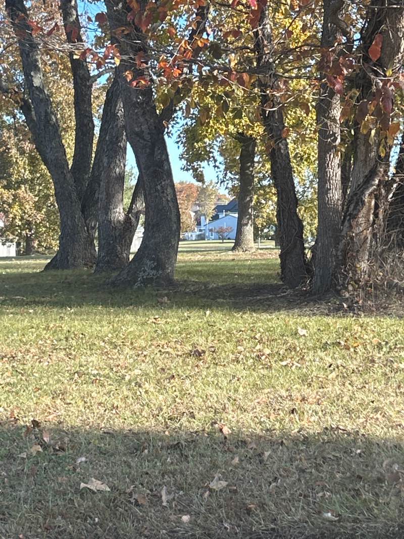 walking near me in Veterans Park in autumn
