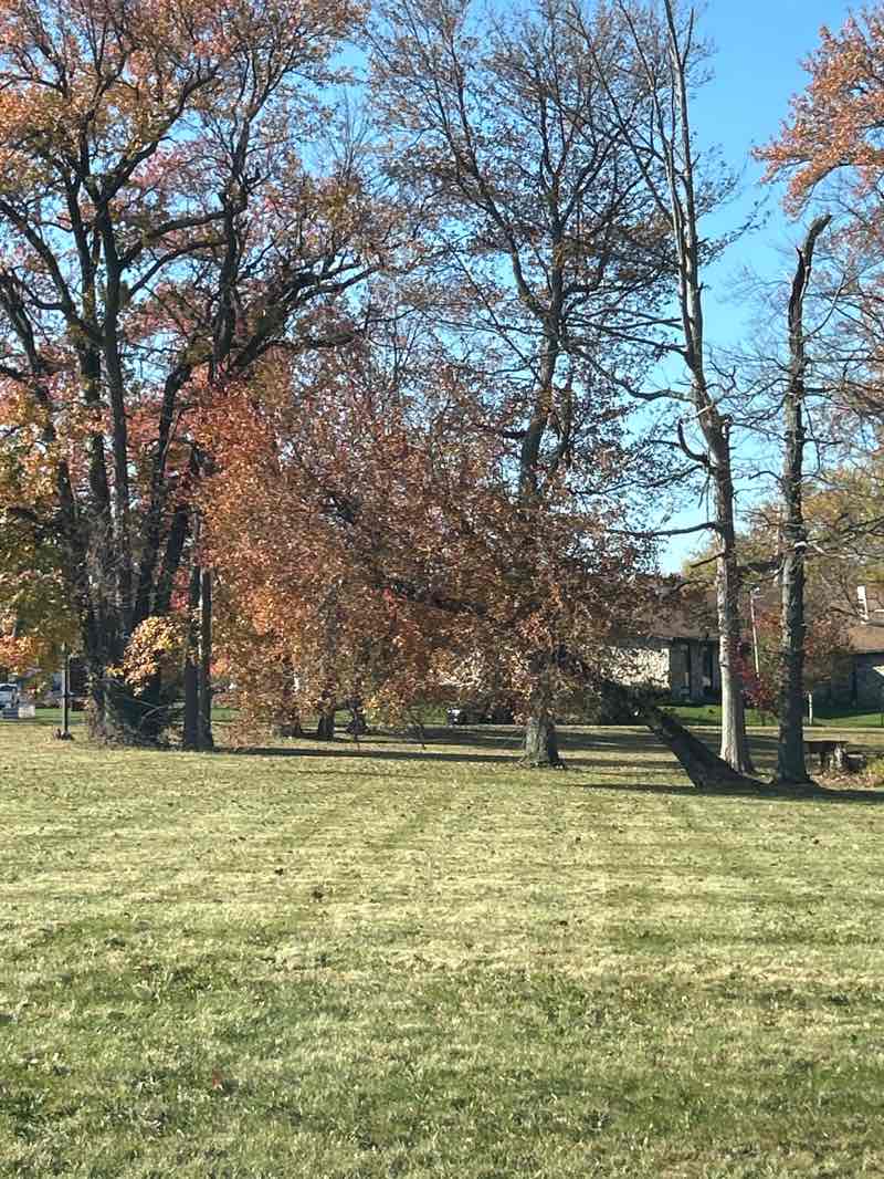walking near me in Oxford Valley Park in autumn