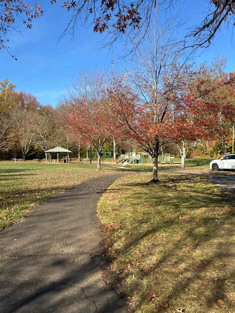 walking near me in Forsythia Crossing Park in autumn